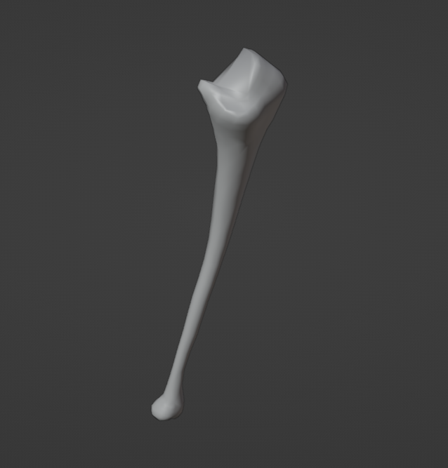 Fixed bone mesh