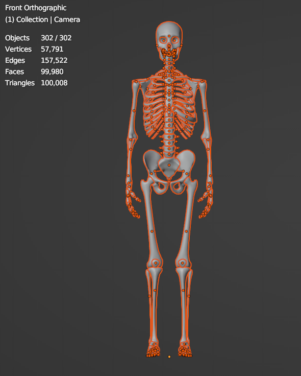 Skeleton with merged elements and corrected origins